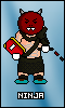 Ninja's Avatar