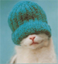 xeqa's Avatar