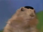Pieman's Avatar
