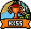 HxSS Bronze Award 2013